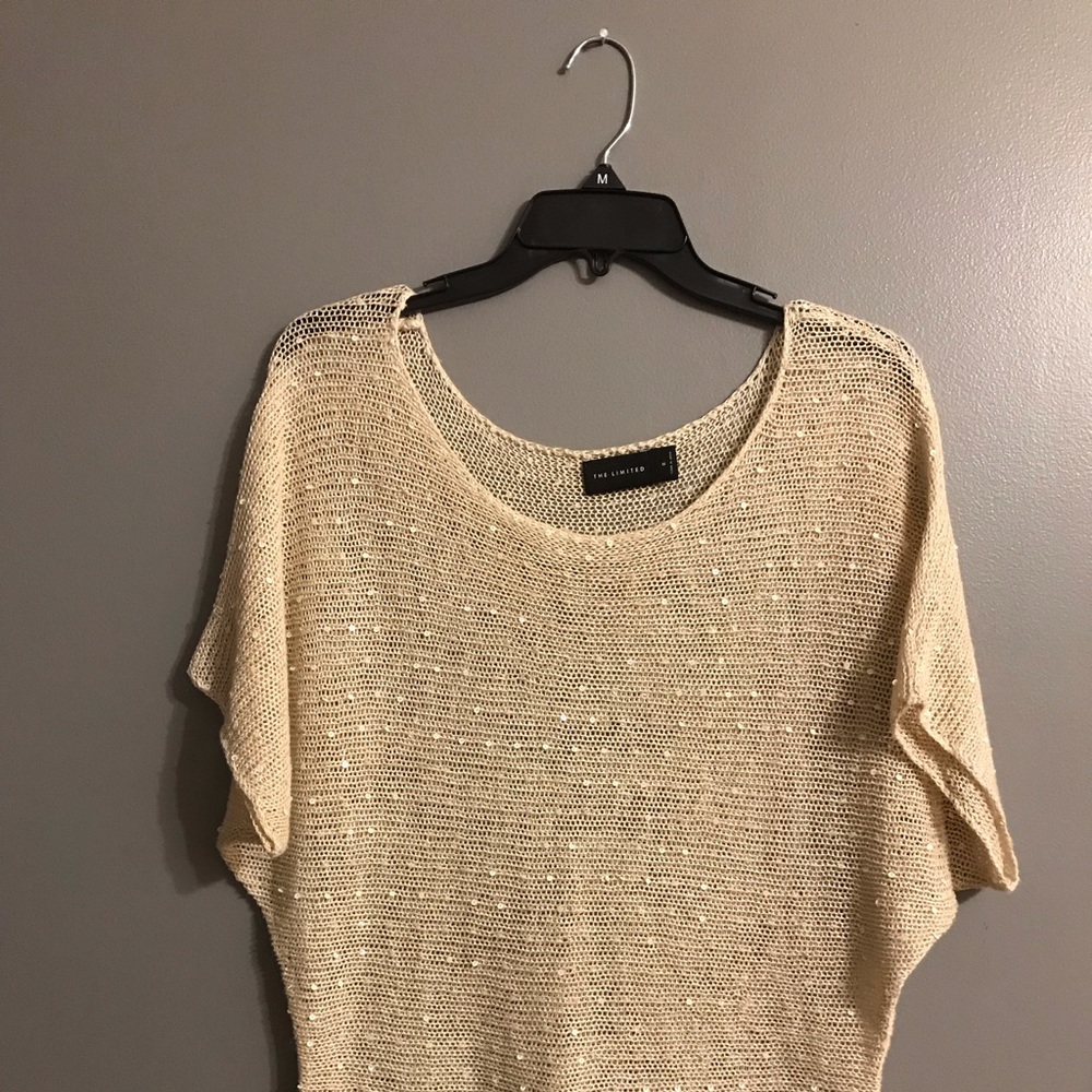 The Limited Mesh Sequin Accent Blouse